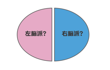 脳科学　右脳と左脳